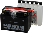 Parts Unlimited AGM Maintenance-Free Battery YTZ14S-BS (2113-0377)